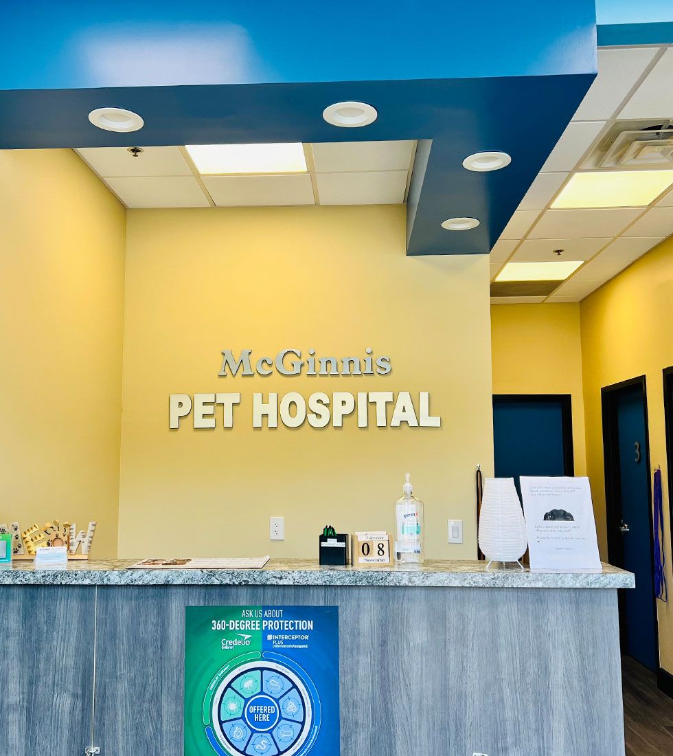 Pet hospital reception