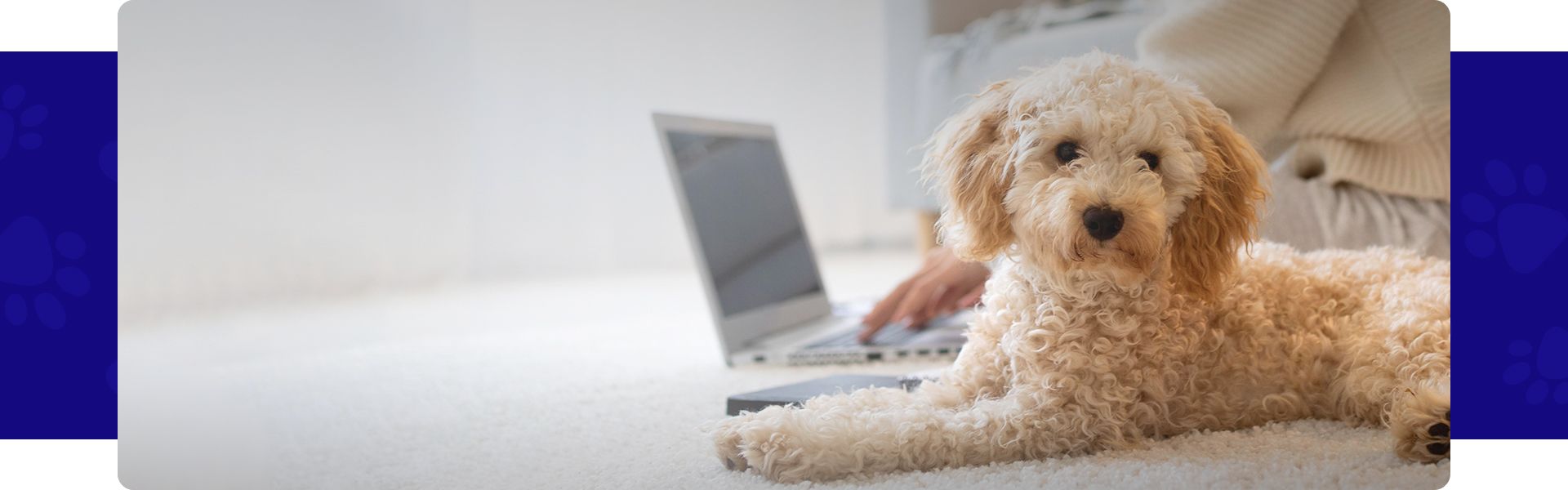 woman with a laptop and her dog on the floor at home