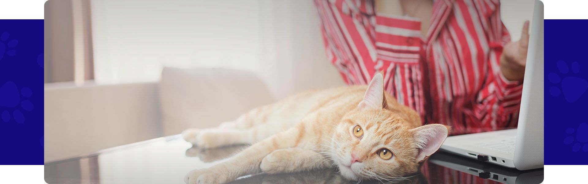 woman with red shirt with ginger cat