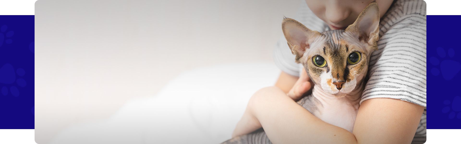 boy hugging his gray canadian sphynx cat